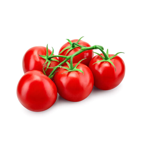 گوجه فرنگی